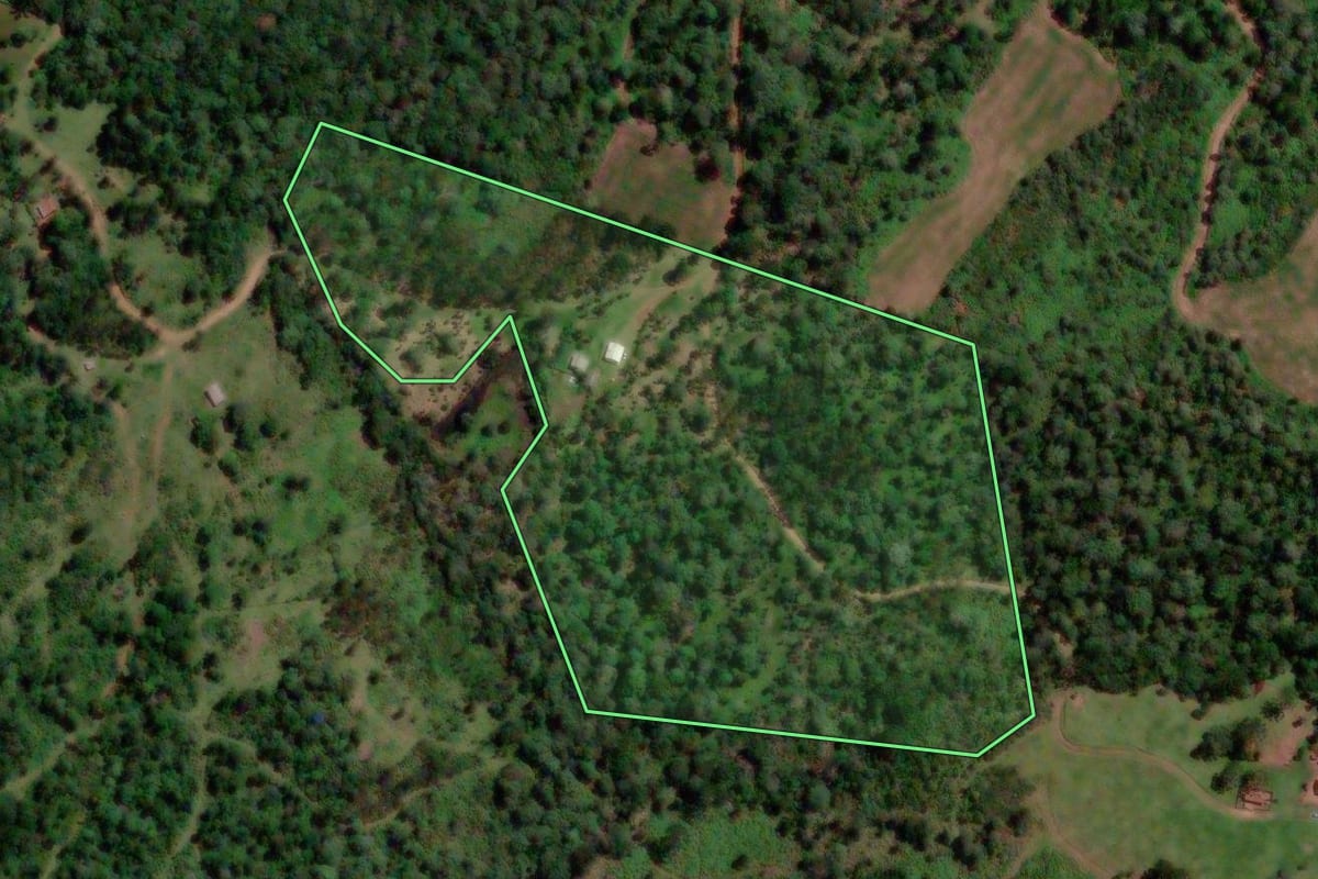 Imagem de satélite do imóvel rural em Coronel Domingos Soares (PR), com o contorno declarado no CAR desenhado por cima.