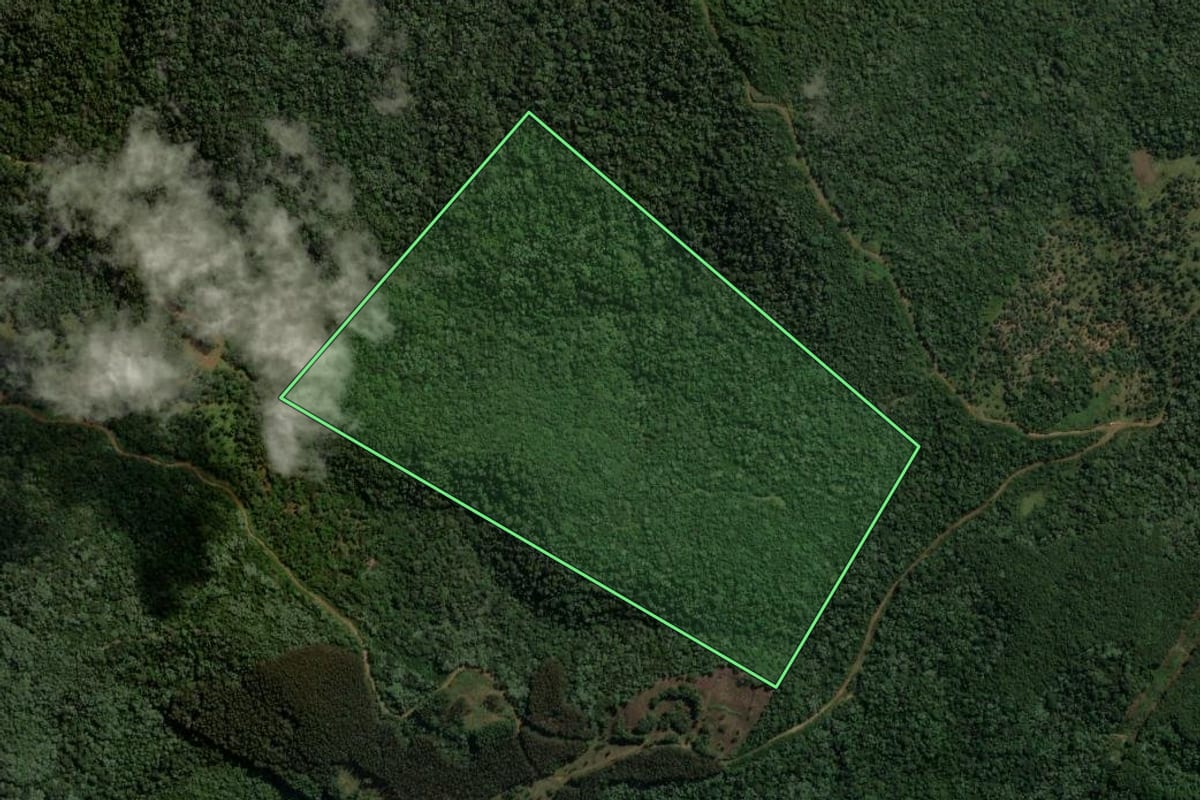 Imagem de satélite do imóvel rural em Coronel Domingos Soares (PR), com o contorno declarado no CAR desenhado por cima.