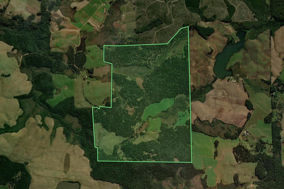 Imagem de satélite do imóvel rural em Coronel Domingos Soares (PR), com o contorno declarado no CAR desenhado por cima.