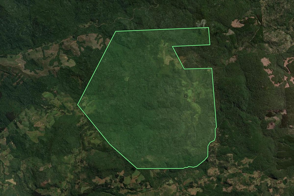 Imagem de satélite do imóvel rural em Coronel Domingos Soares (PR), com o contorno declarado no CAR desenhado por cima.