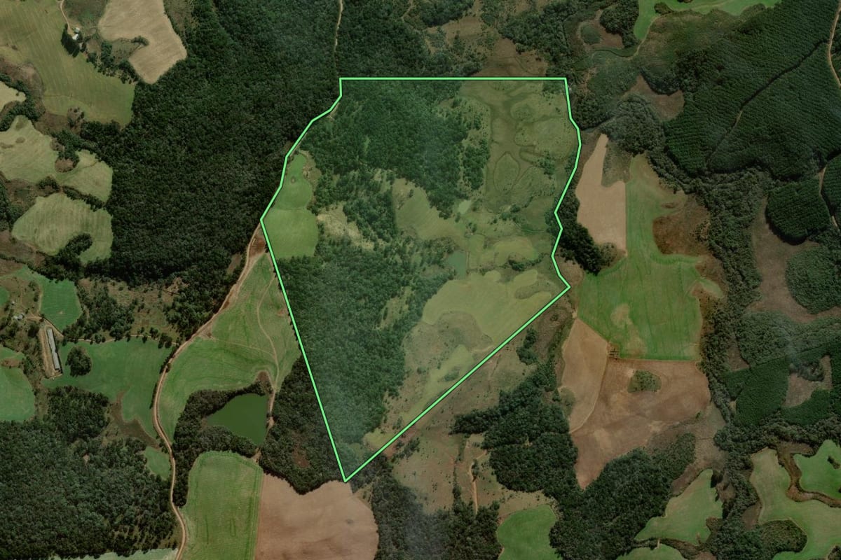 Imagem de satélite do imóvel rural em Coronel Domingos Soares (PR), com o contorno declarado no CAR desenhado por cima.