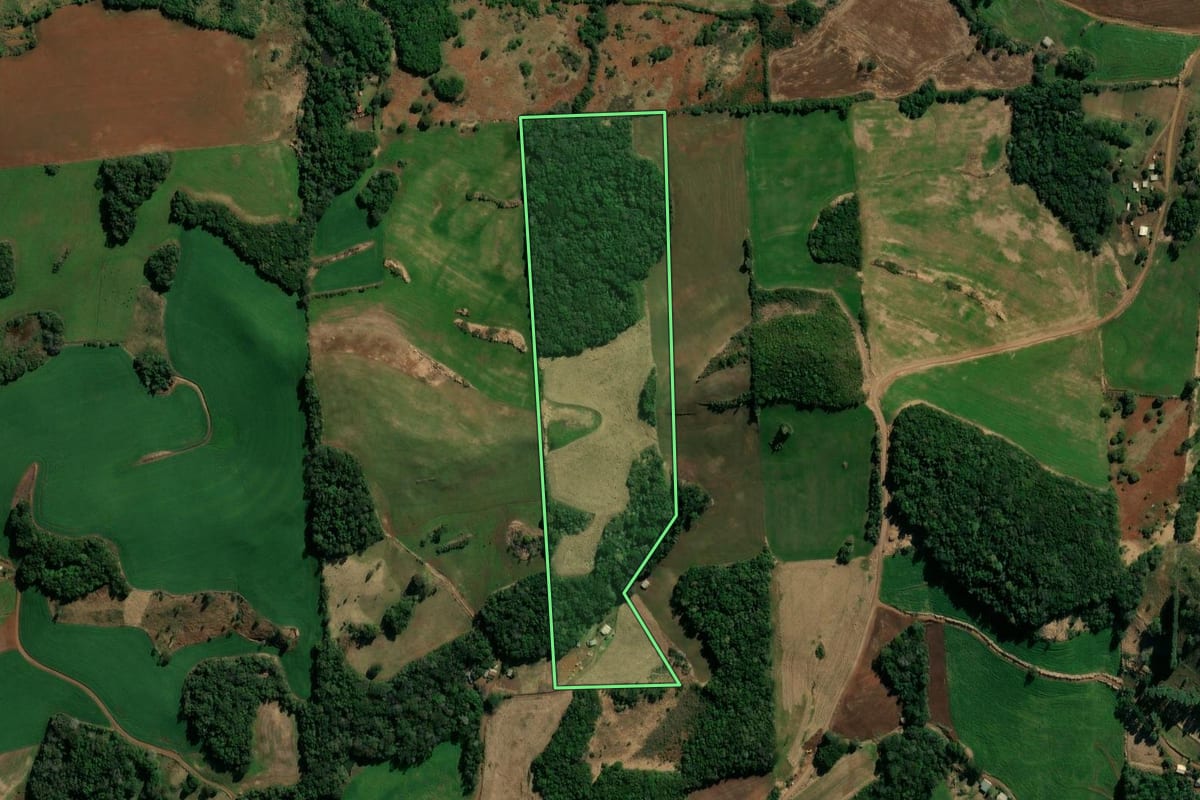 Imagem de satélite do imóvel rural em Coronel Vivida (PR), com o contorno declarado no CAR desenhado por cima.