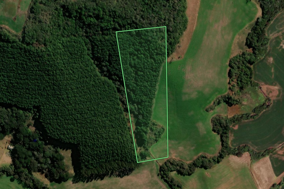 Imagem de satélite do imóvel rural em Coronel Vivida (PR), com o contorno declarado no CAR desenhado por cima.