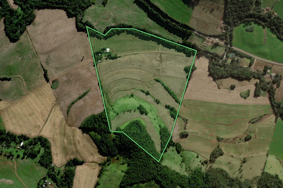 Imagem de satélite do imóvel rural em Coronel Vivida (PR), com o contorno declarado no CAR desenhado por cima.