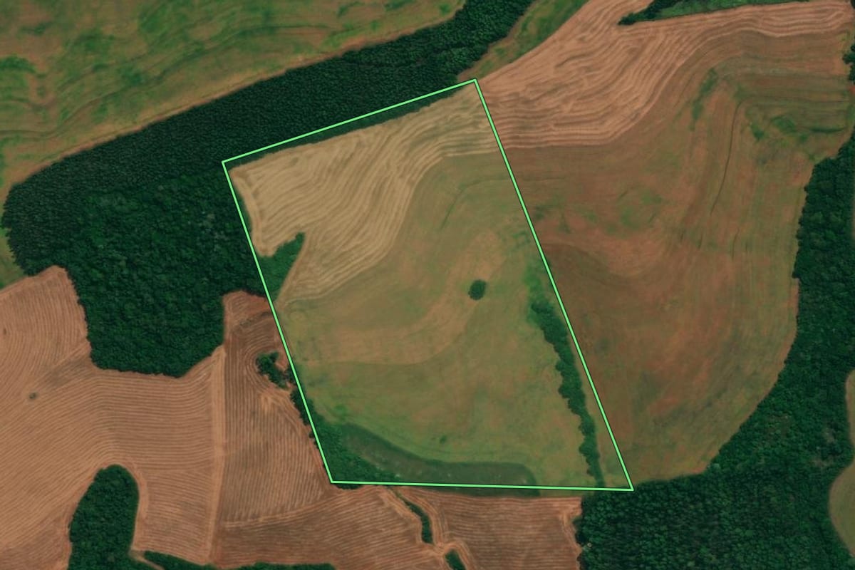 Imagem de satélite do imóvel rural em Coronel Vivida (PR), com o contorno declarado no CAR desenhado por cima.