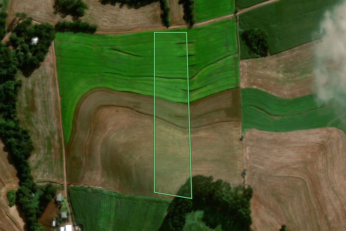 Imagem de satélite do imóvel rural em Coronel Vivida (PR), com o contorno declarado no CAR desenhado por cima.