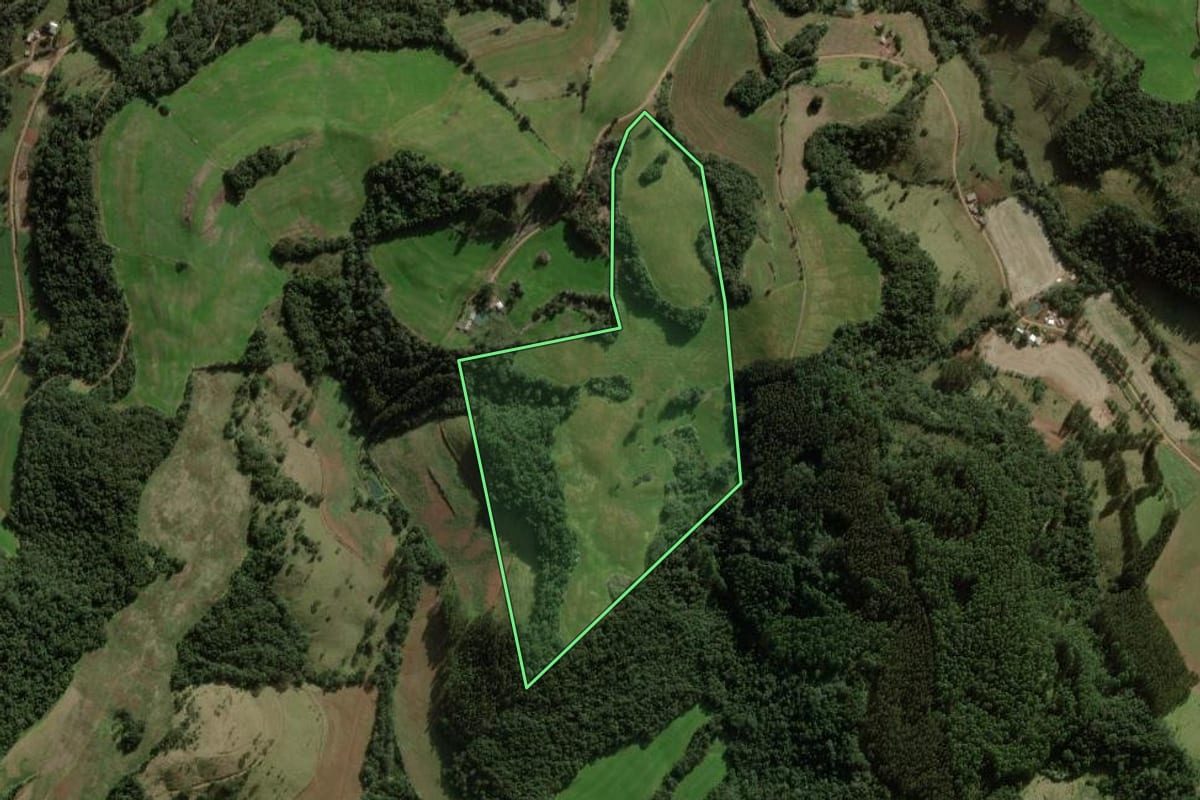 Imagem de satélite do imóvel rural em Coronel Vivida (PR), com o contorno declarado no CAR desenhado por cima.