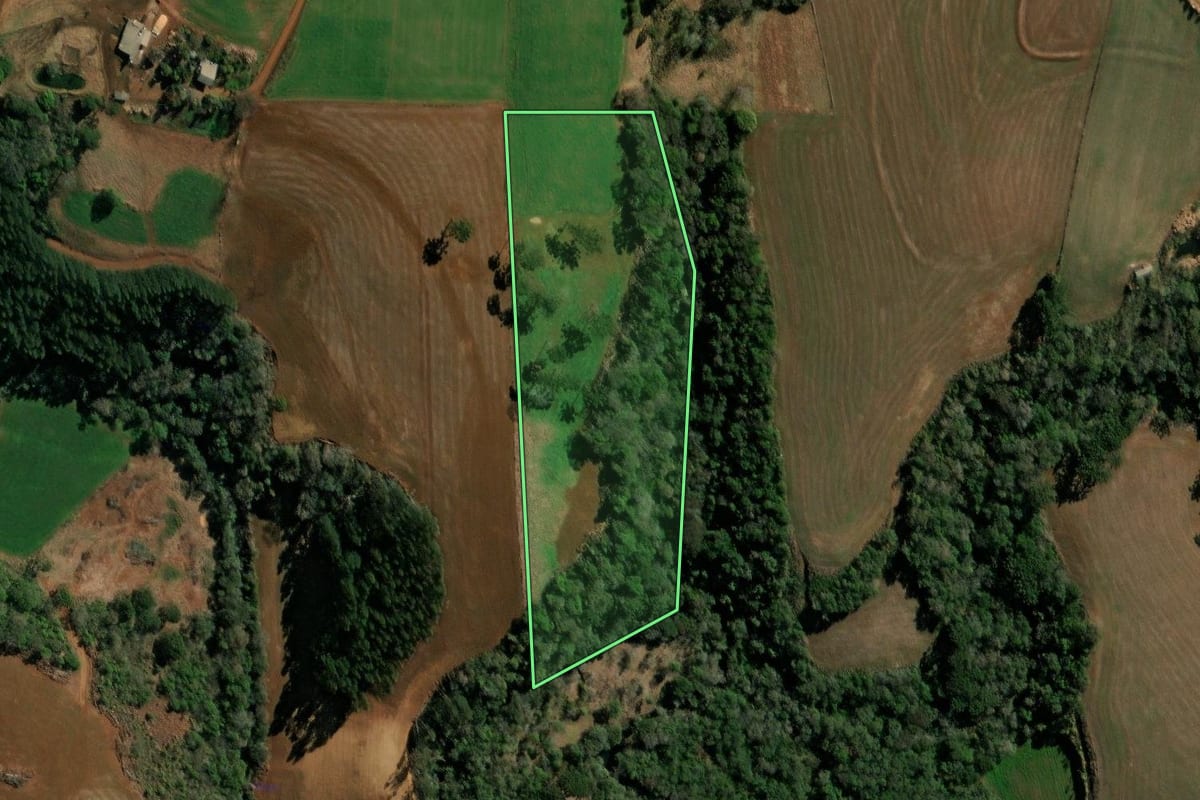 Imagem de satélite do imóvel rural em Coronel Vivida (PR), com o contorno declarado no CAR desenhado por cima.