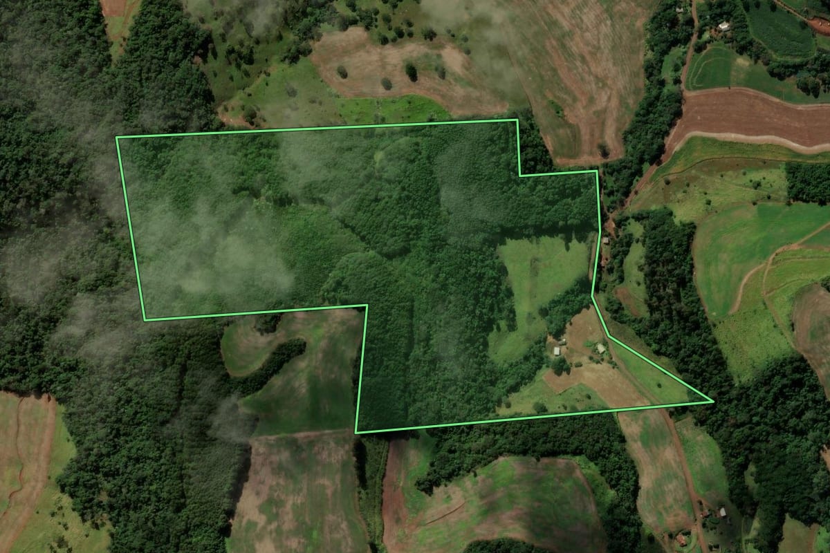 Imagem de satélite do imóvel rural em Coronel Vivida (PR), com o contorno declarado no CAR desenhado por cima.