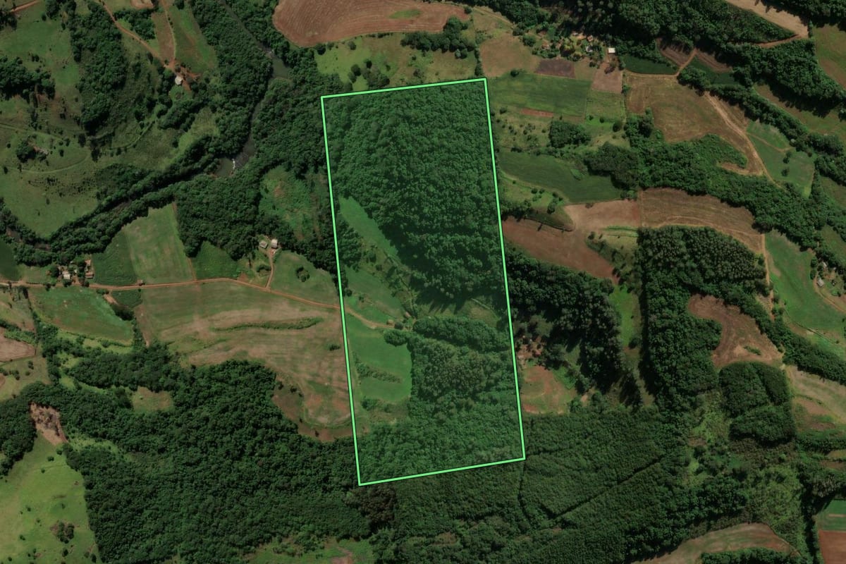 Imagem de satélite do imóvel rural em Coronel Vivida (PR), com o contorno declarado no CAR desenhado por cima.