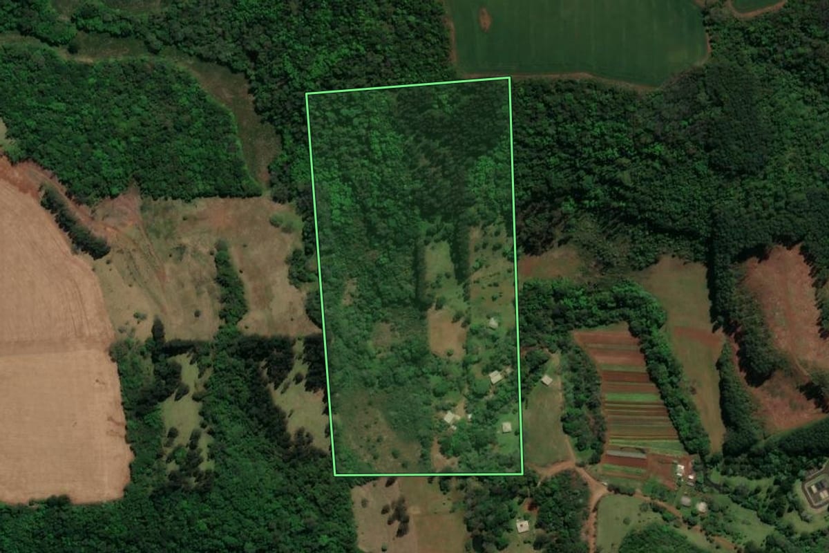 Imagem de satélite do imóvel rural em Coronel Vivida (PR), com o contorno declarado no CAR desenhado por cima.