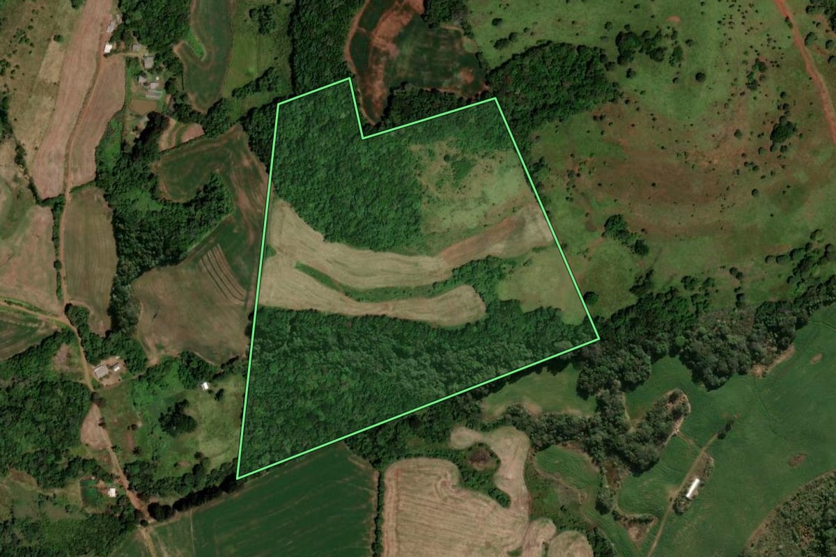 Imagem de satélite do imóvel rural em Coronel Vivida (PR), com o contorno declarado no CAR desenhado por cima.