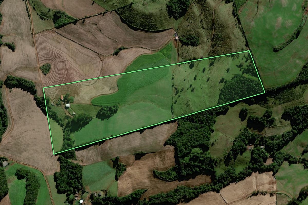 Imagem de satélite do imóvel rural em Coronel Vivida (PR), com o contorno declarado no CAR desenhado por cima.