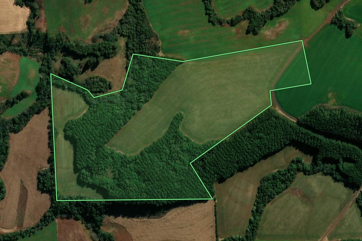 Imagem de satélite do imóvel rural em Coronel Vivida (PR), com o contorno declarado no CAR desenhado por cima.