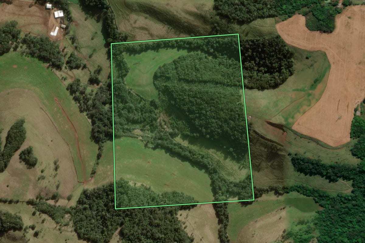 Imagem de satélite do imóvel rural em Coronel Vivida (PR), com o contorno declarado no CAR desenhado por cima.
