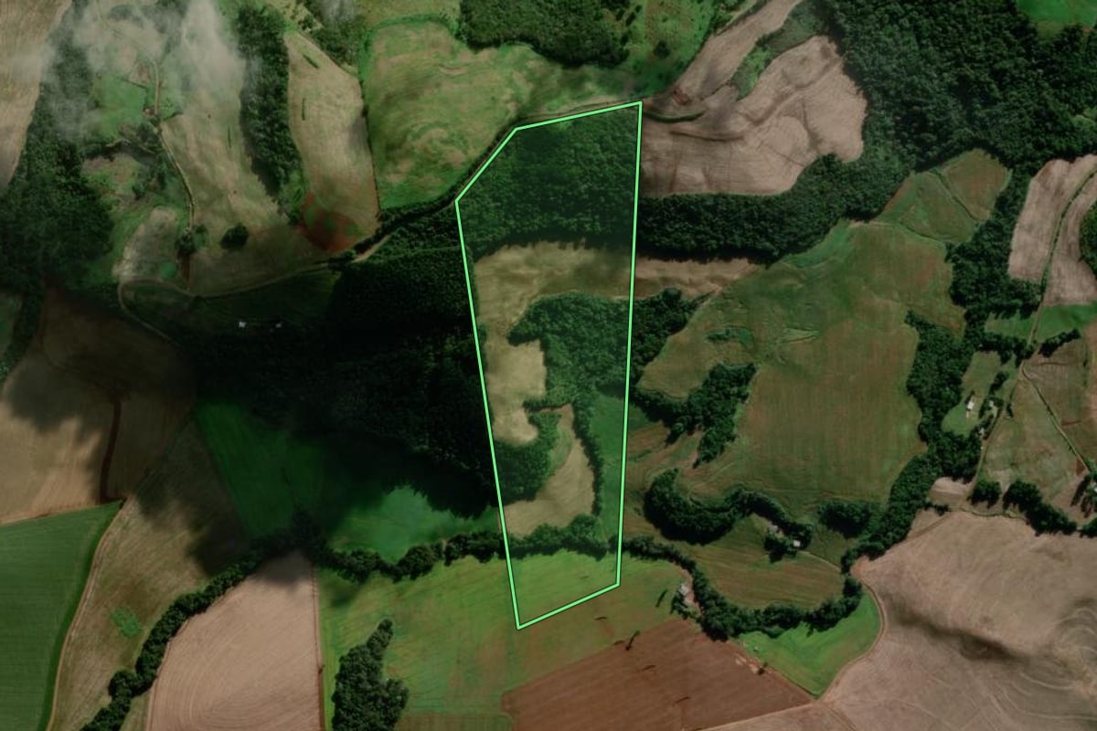 Imagem de satélite do imóvel rural em Coronel Vivida (PR), com o contorno declarado no CAR desenhado por cima.