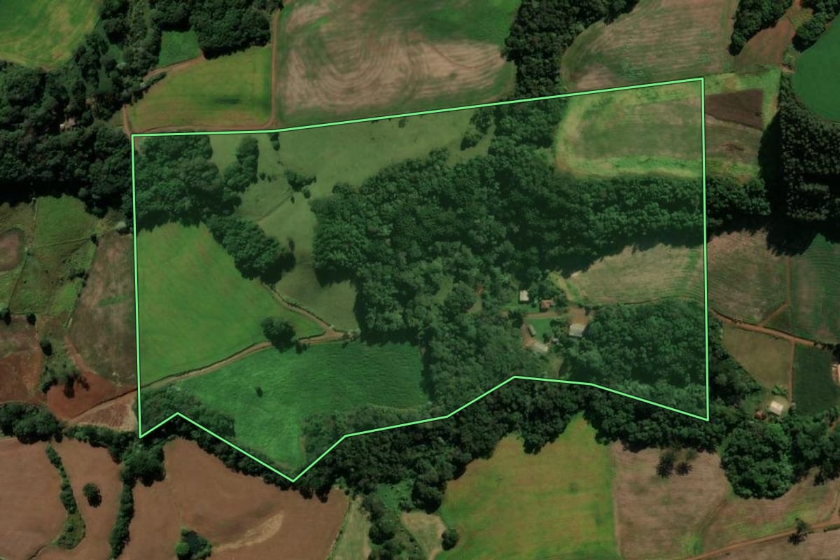 Imagem de satélite do imóvel rural em Coronel Vivida (PR), com o contorno declarado no CAR desenhado por cima.