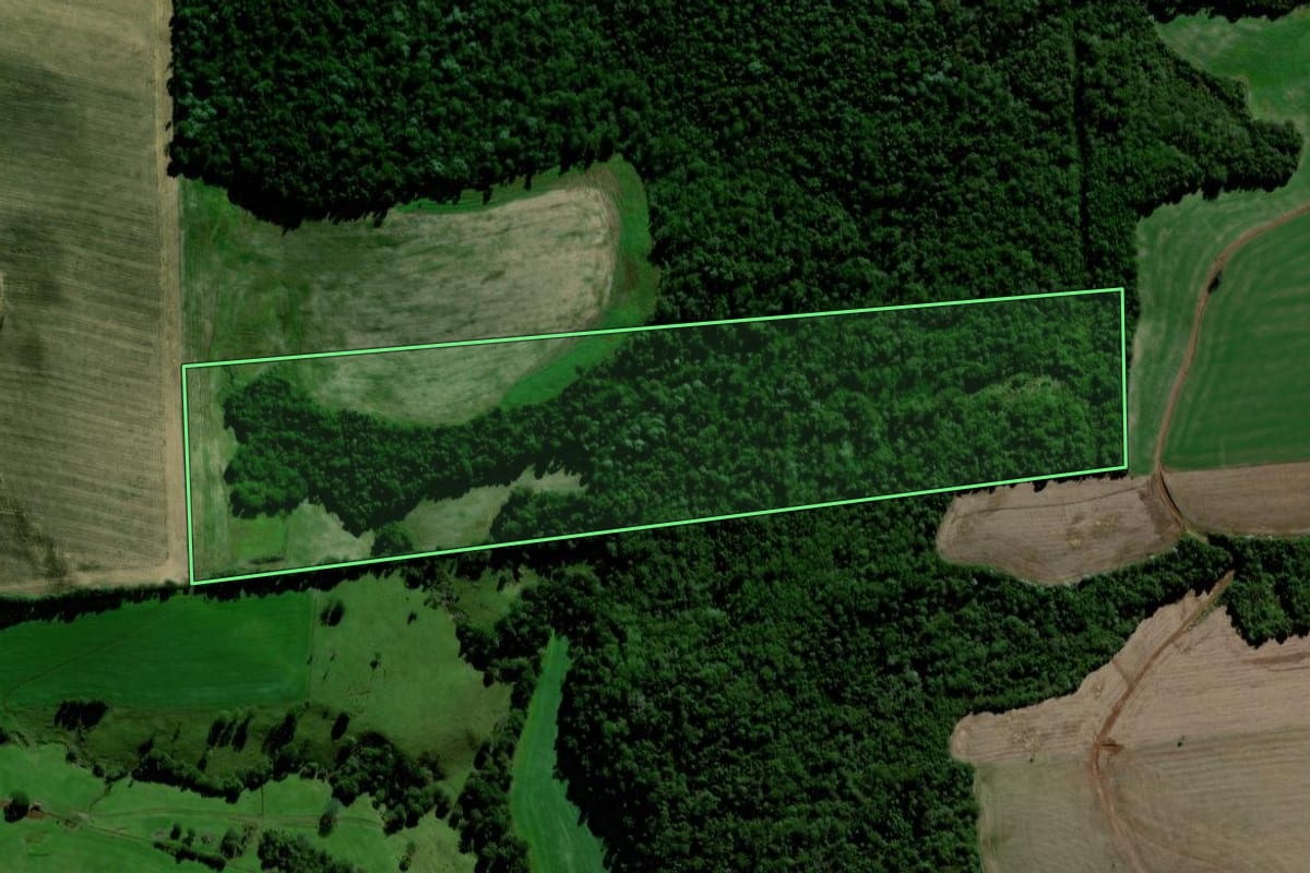 Imagem de satélite do imóvel rural em Coronel Vivida (PR), com o contorno declarado no CAR desenhado por cima.