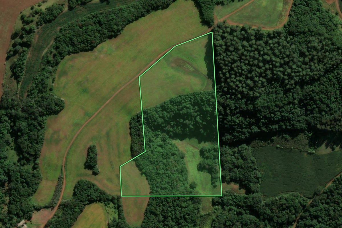 Imagem de satélite do imóvel rural em Coronel Vivida (PR), com o contorno declarado no CAR desenhado por cima.