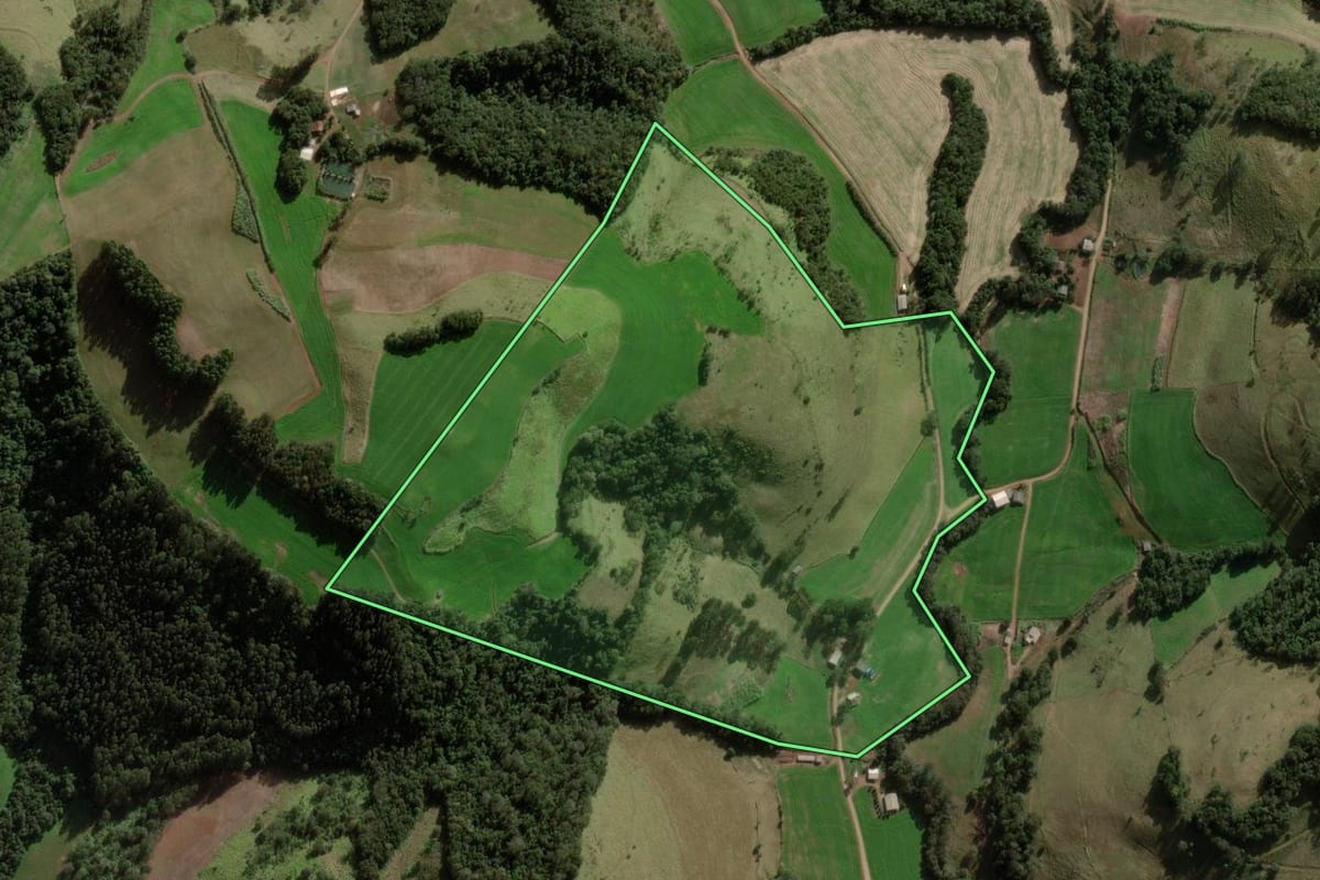 Imagem de satélite do imóvel rural em Coronel Vivida (PR), com o contorno declarado no CAR desenhado por cima.