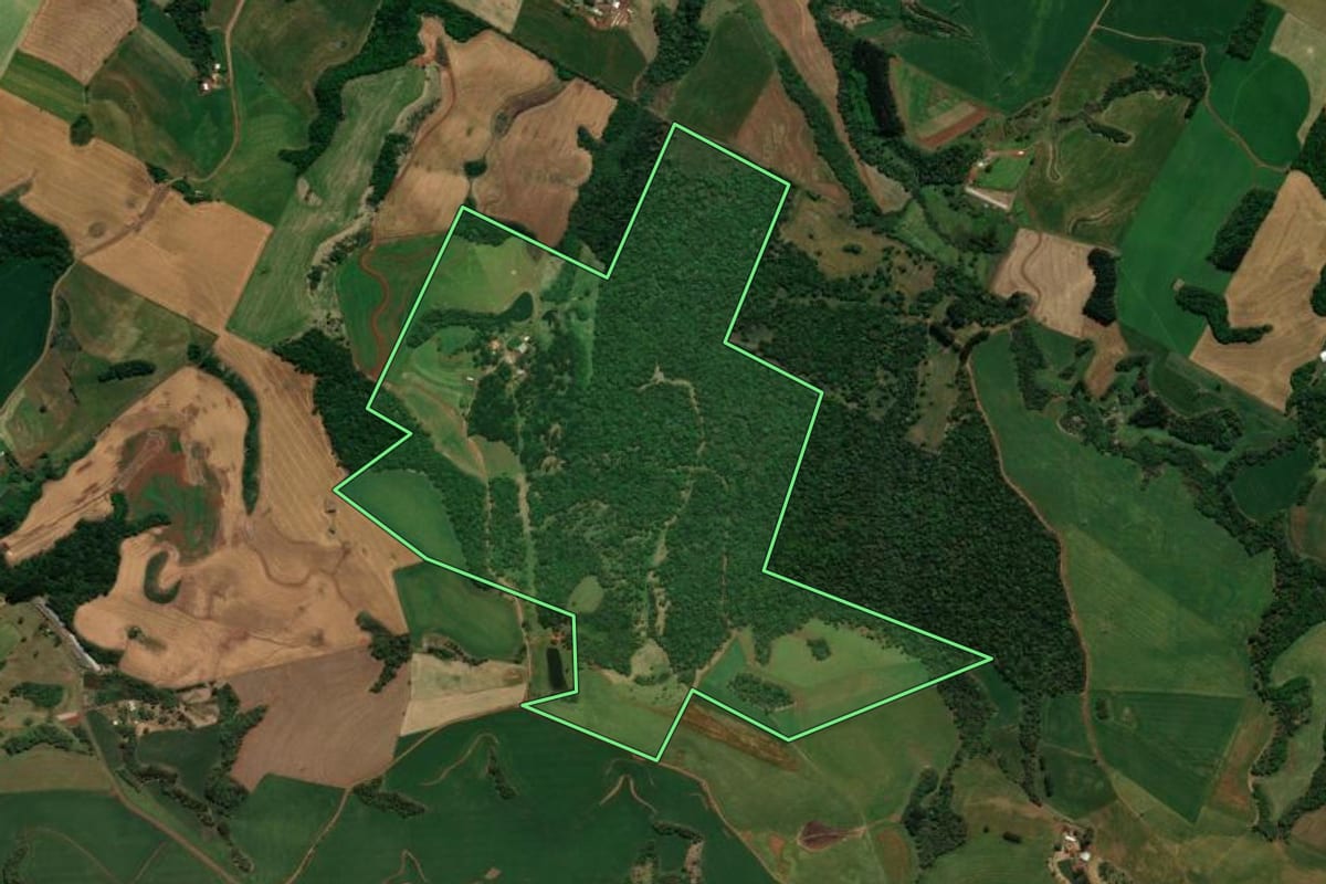 Imagem de satélite do imóvel rural em Coronel Vivida (PR), com o contorno declarado no CAR desenhado por cima.