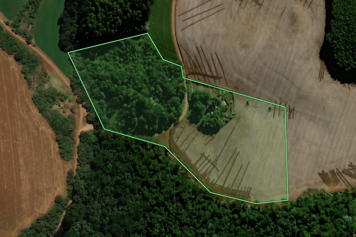 Imagem de satélite do imóvel rural em Coronel Vivida (PR), com o contorno declarado no CAR desenhado por cima.