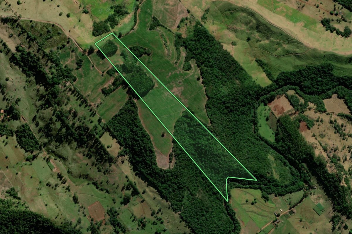 Imagem de satélite do imóvel rural em Corumbataí do Sul (PR), com o contorno declarado no CAR desenhado por cima.