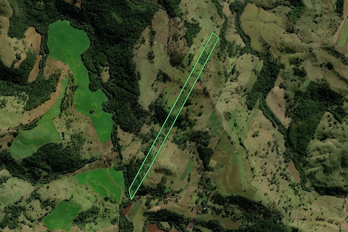 Imagem de satélite do imóvel rural em Corumbataí do Sul (PR), com o contorno declarado no CAR desenhado por cima.
