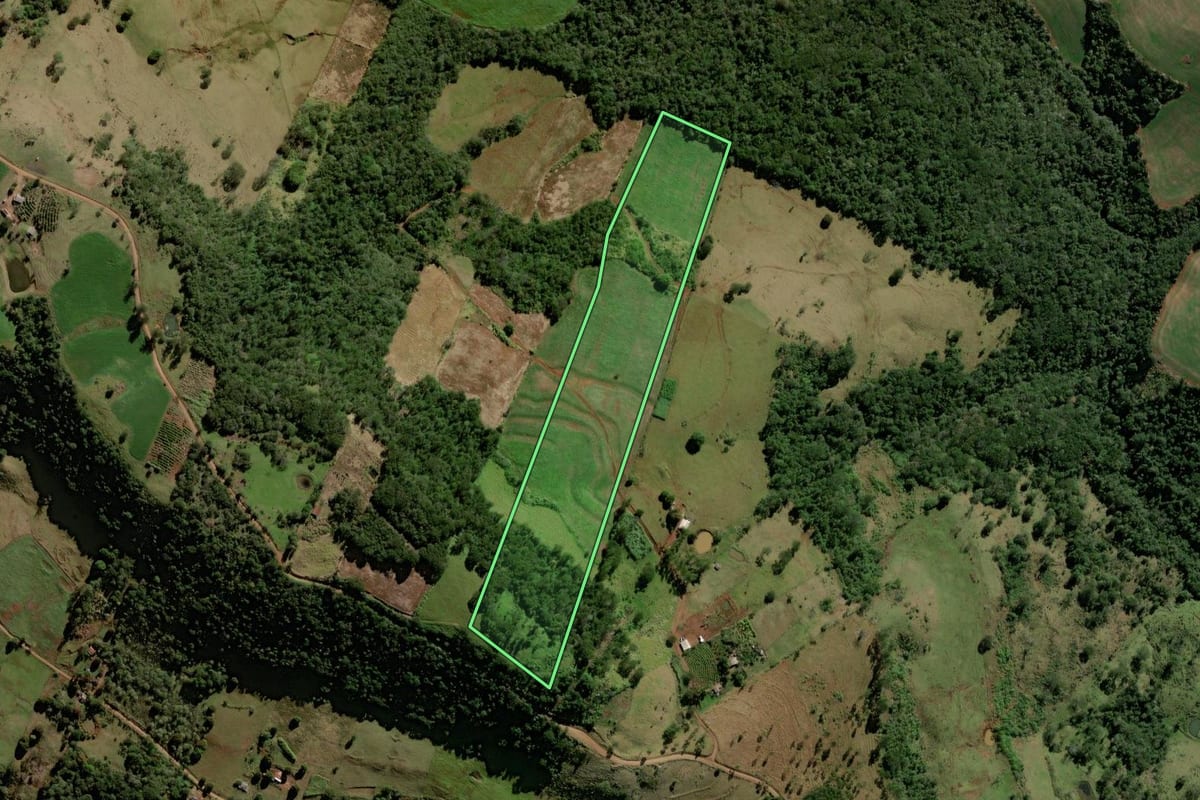 Imagem de satélite do imóvel rural em Corumbataí do Sul (PR), com o contorno declarado no CAR desenhado por cima.