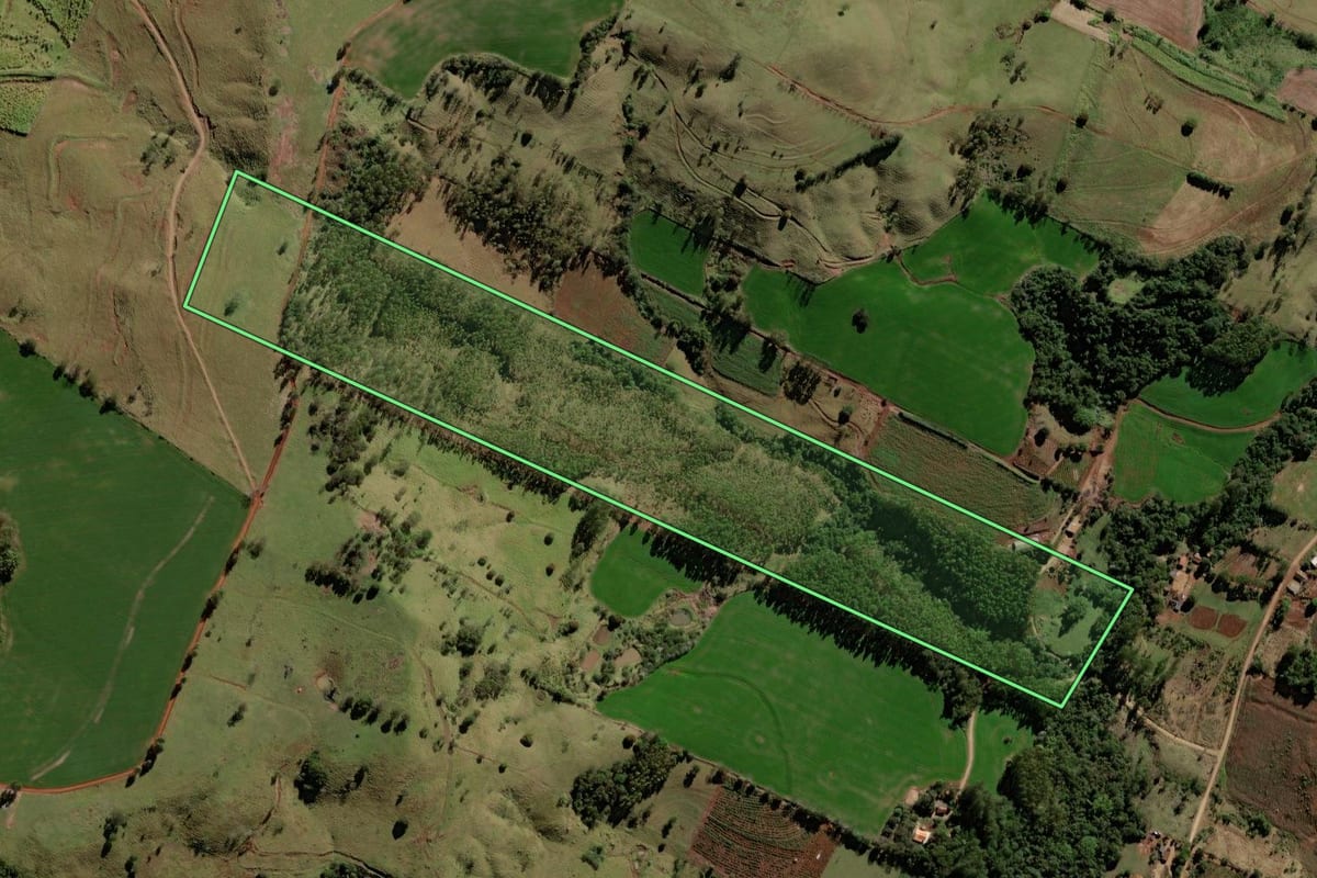 Imagem de satélite do imóvel rural em Corumbataí do Sul (PR), com o contorno declarado no CAR desenhado por cima.