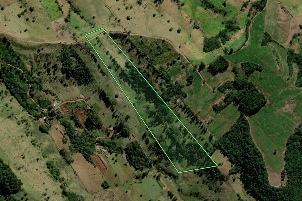 Imagem de satélite do imóvel rural em Corumbataí do Sul (PR), com o contorno declarado no CAR desenhado por cima.