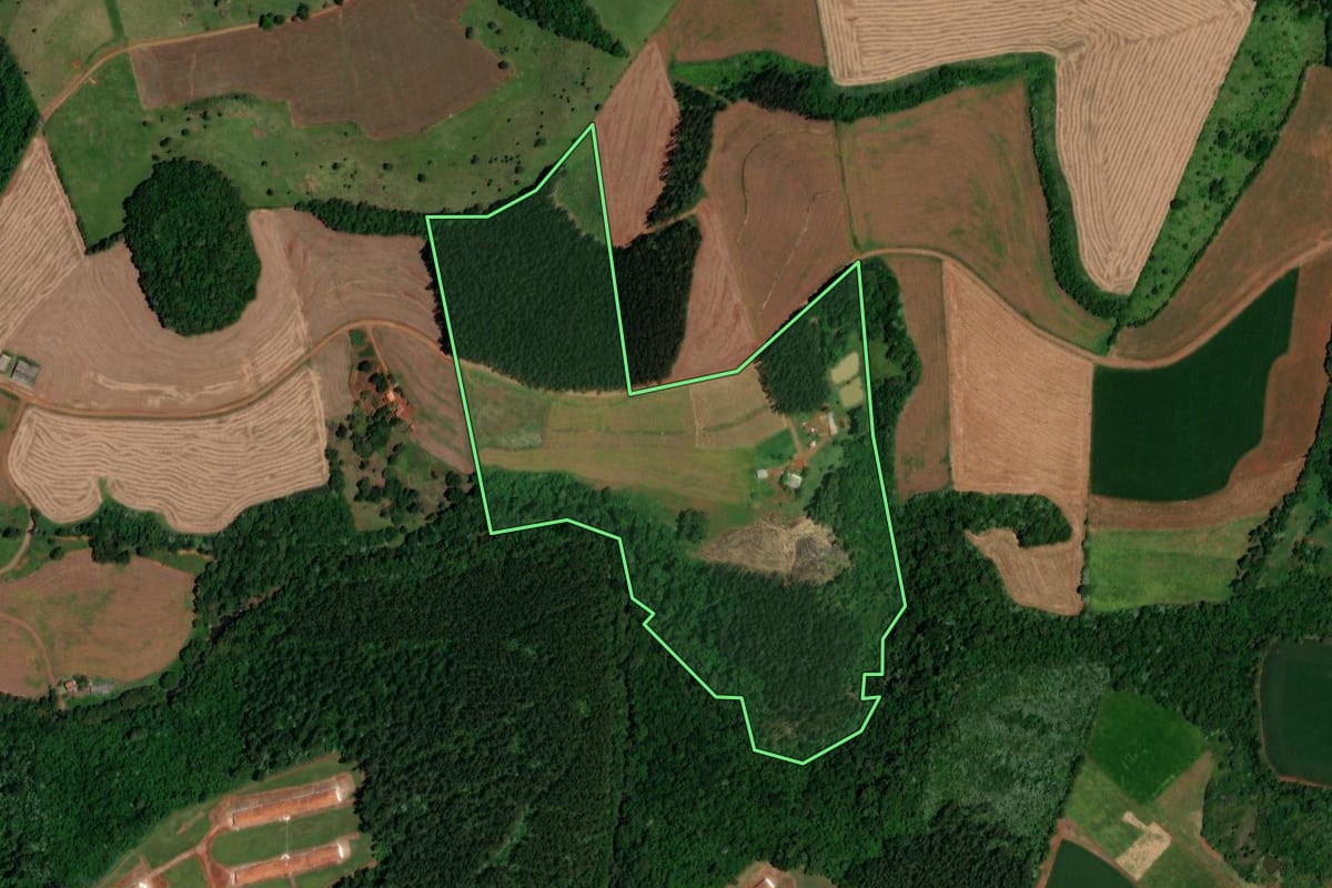 Imagem de satélite do imóvel rural em Cruzeiro do Iguaçu (PR), com o contorno declarado no CAR desenhado por cima.