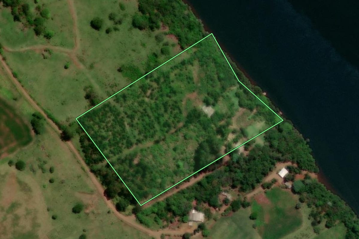 Imagem de satélite do imóvel rural em Cruzeiro do Iguaçu (PR), com o contorno declarado no CAR desenhado por cima.
