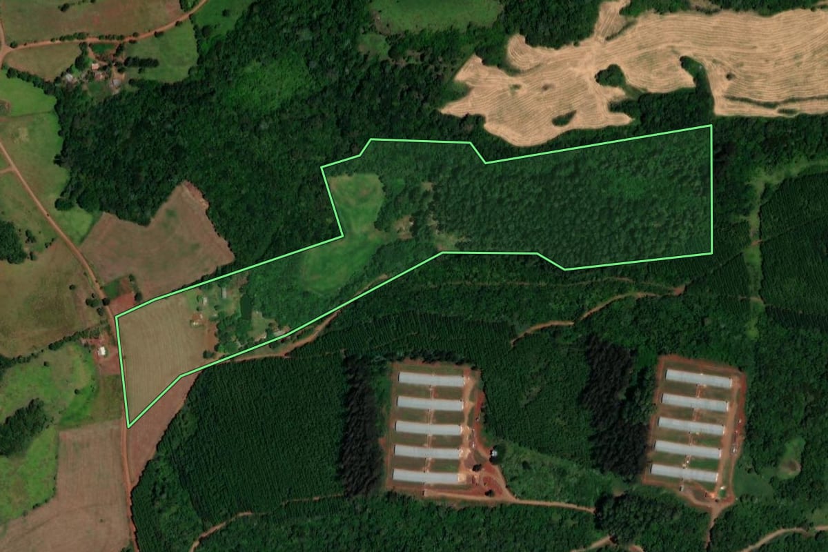 Imagem de satélite do imóvel rural em Cruzeiro do Iguaçu (PR), com o contorno declarado no CAR desenhado por cima.