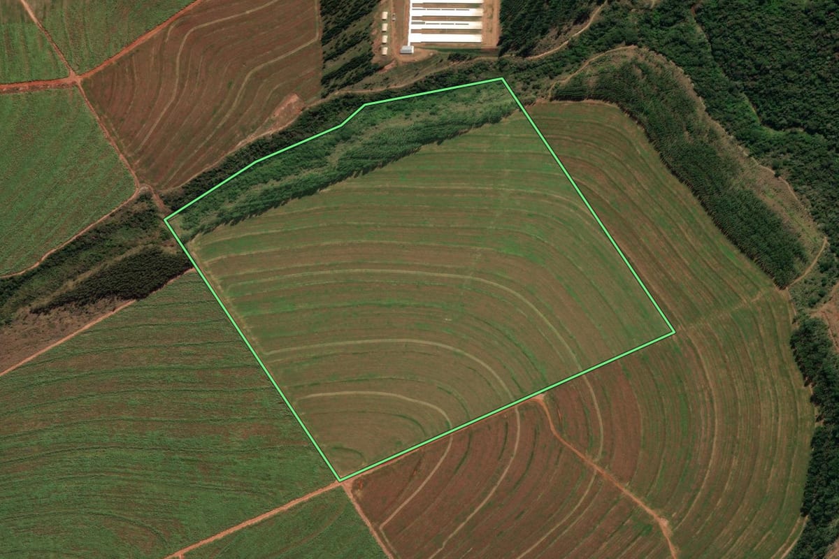 Imagem de satélite do imóvel rural em Cruzeiro do Oeste (PR), com o contorno declarado no CAR desenhado por cima.