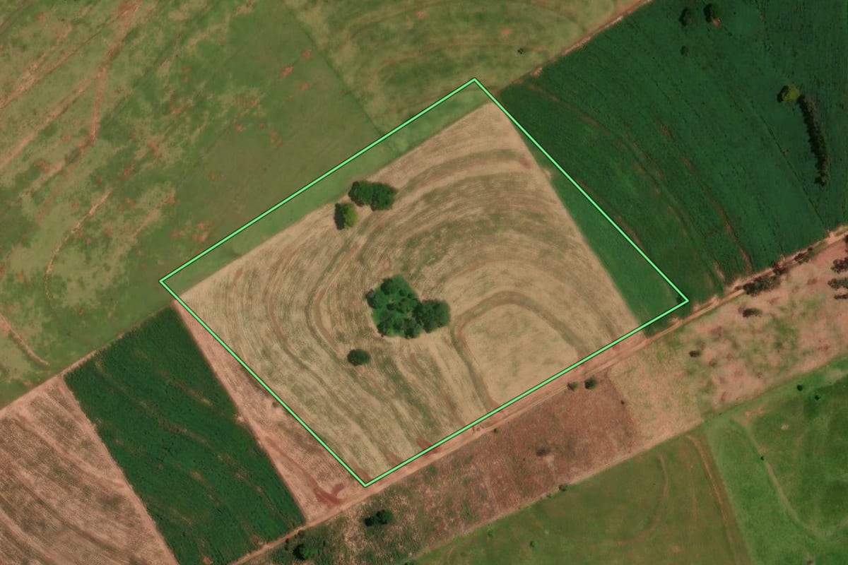 Imagem de satélite do imóvel rural em Cruzeiro do Oeste (PR), com o contorno declarado no CAR desenhado por cima.