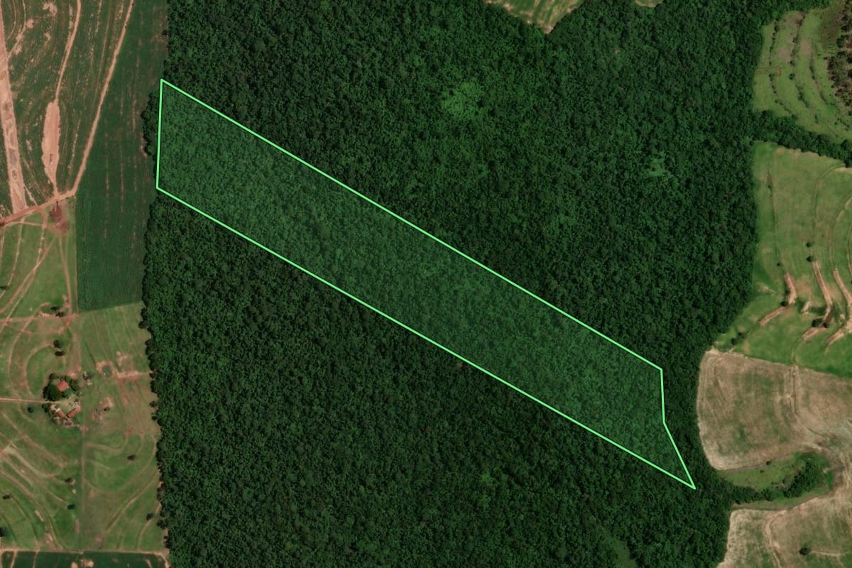 Imagem de satélite do imóvel rural em Cruzeiro do Oeste (PR), com o contorno declarado no CAR desenhado por cima.