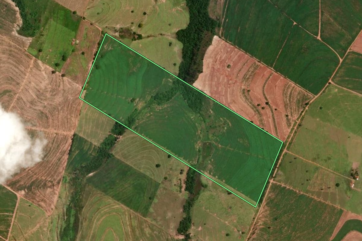 Imagem de satélite do imóvel rural em Cruzeiro do Oeste (PR), com o contorno declarado no CAR desenhado por cima.
