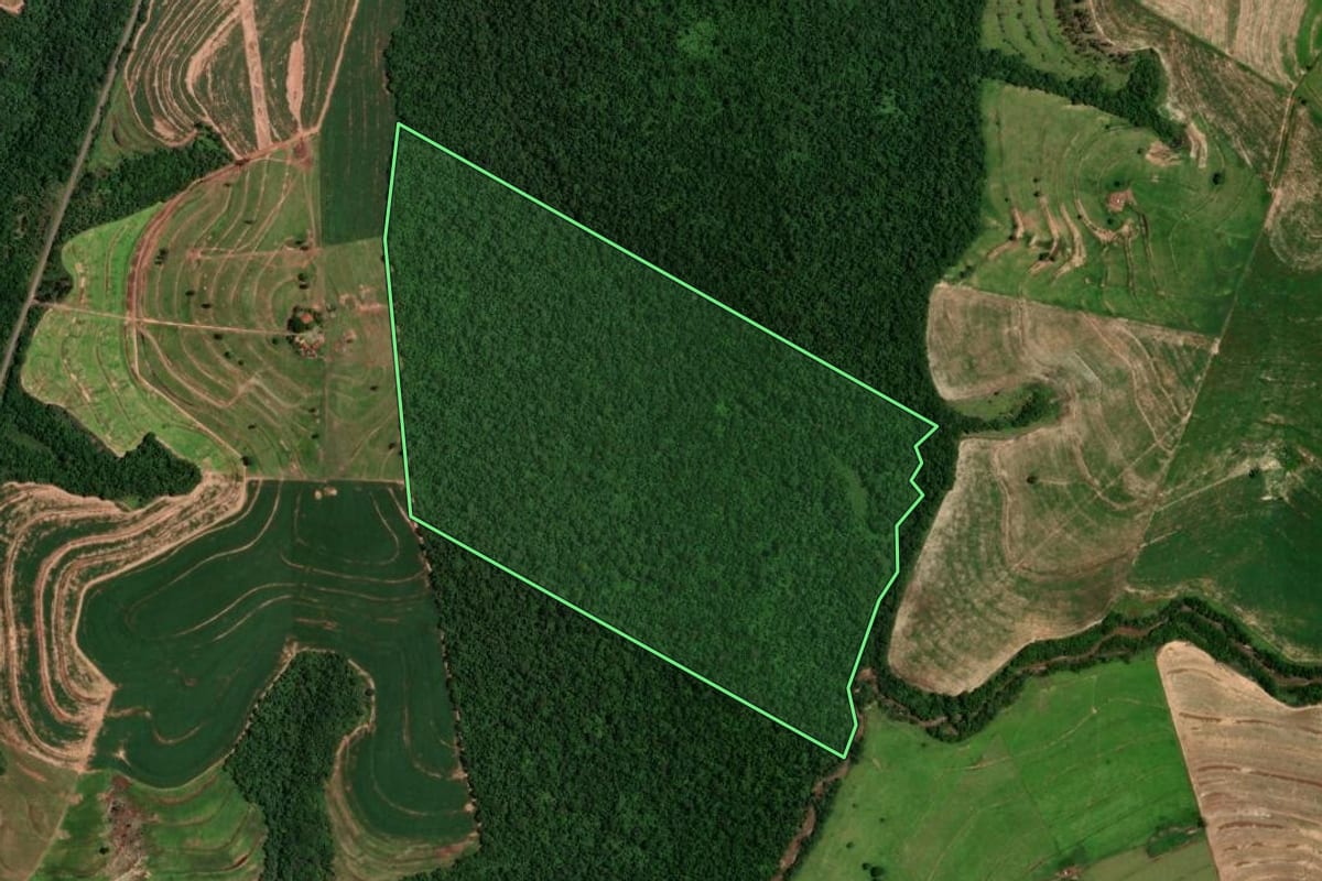 Imagem de satélite do imóvel rural em Cruzeiro do Oeste (PR), com o contorno declarado no CAR desenhado por cima.