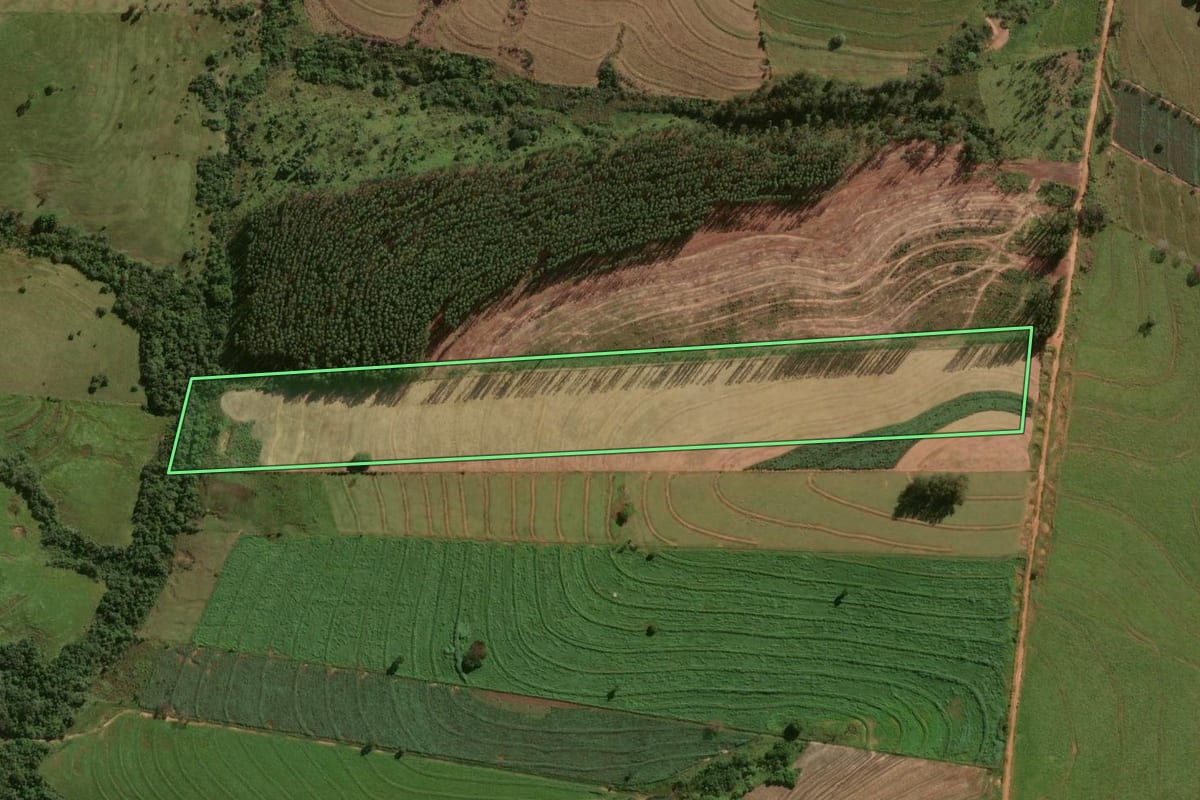 Imagem de satélite do imóvel rural em Cruzeiro do Oeste (PR), com o contorno declarado no CAR desenhado por cima.