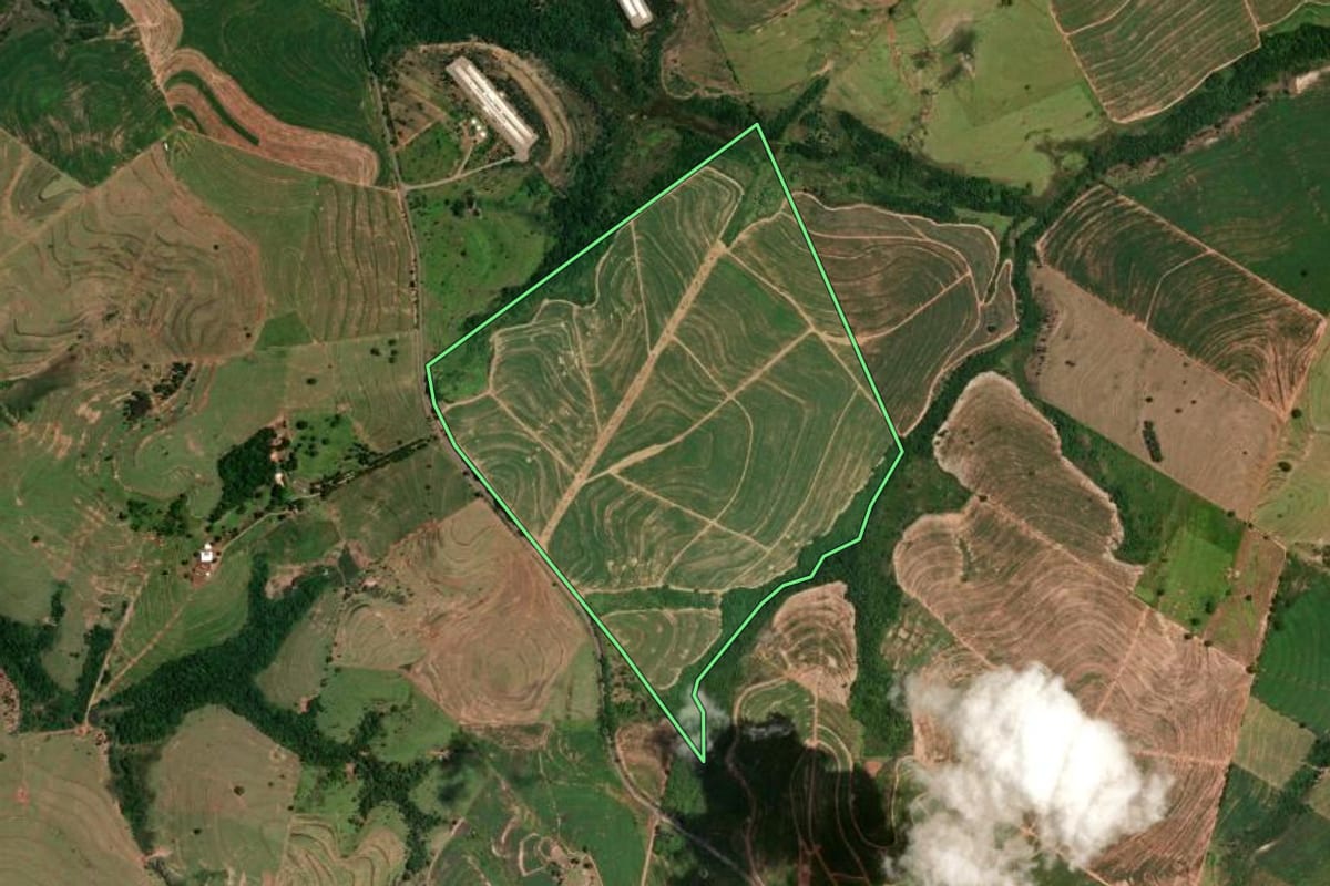 Imagem de satélite do imóvel rural em Cruzeiro do Oeste (PR), com o contorno declarado no CAR desenhado por cima.