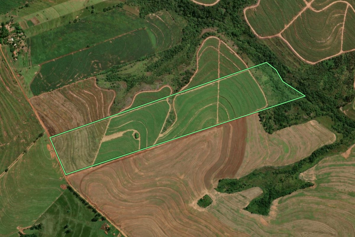 Imagem de satélite do imóvel rural em Cruzeiro do Oeste (PR), com o contorno declarado no CAR desenhado por cima.