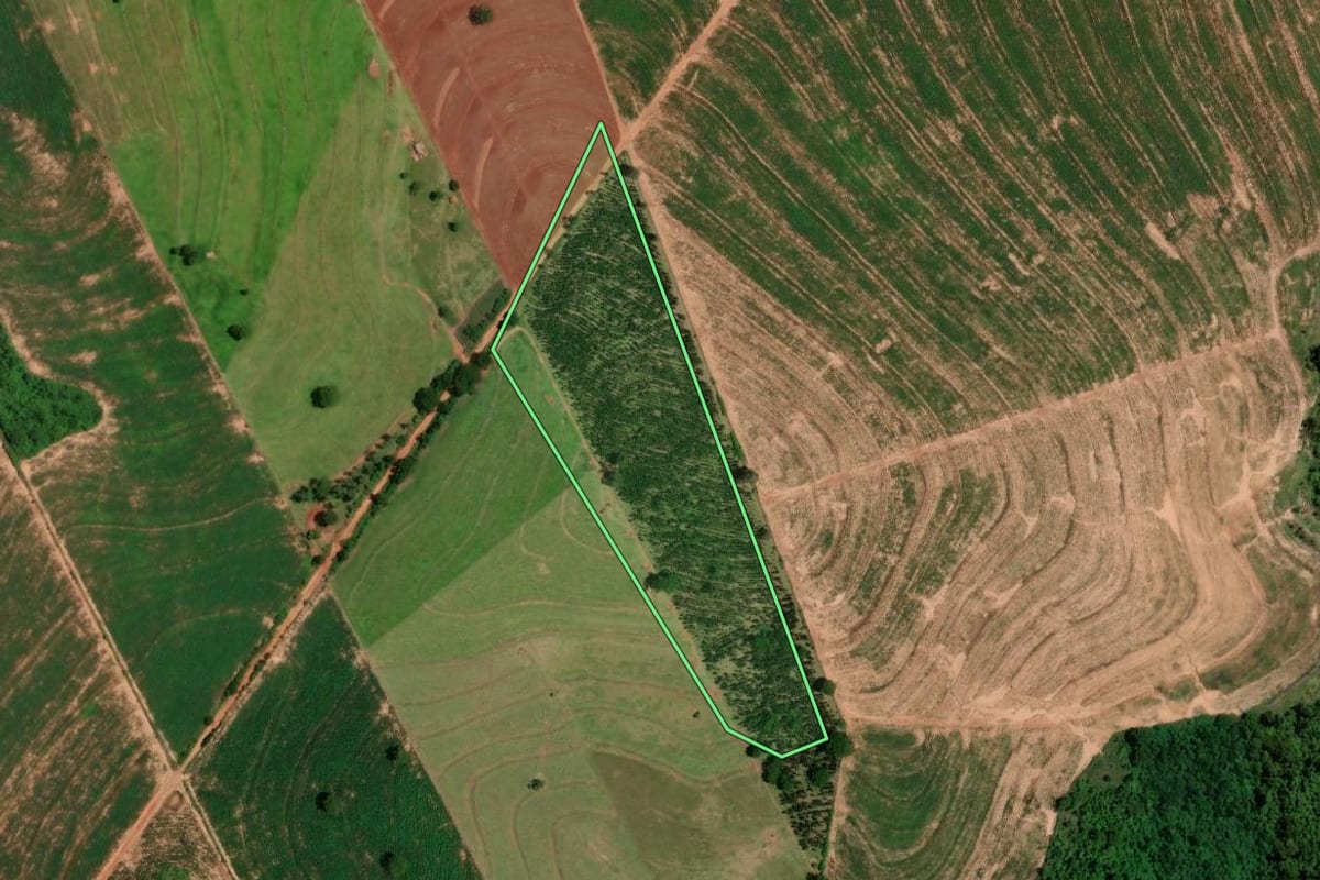Imagem de satélite do imóvel rural em Cruzeiro do Oeste (PR), com o contorno declarado no CAR desenhado por cima.