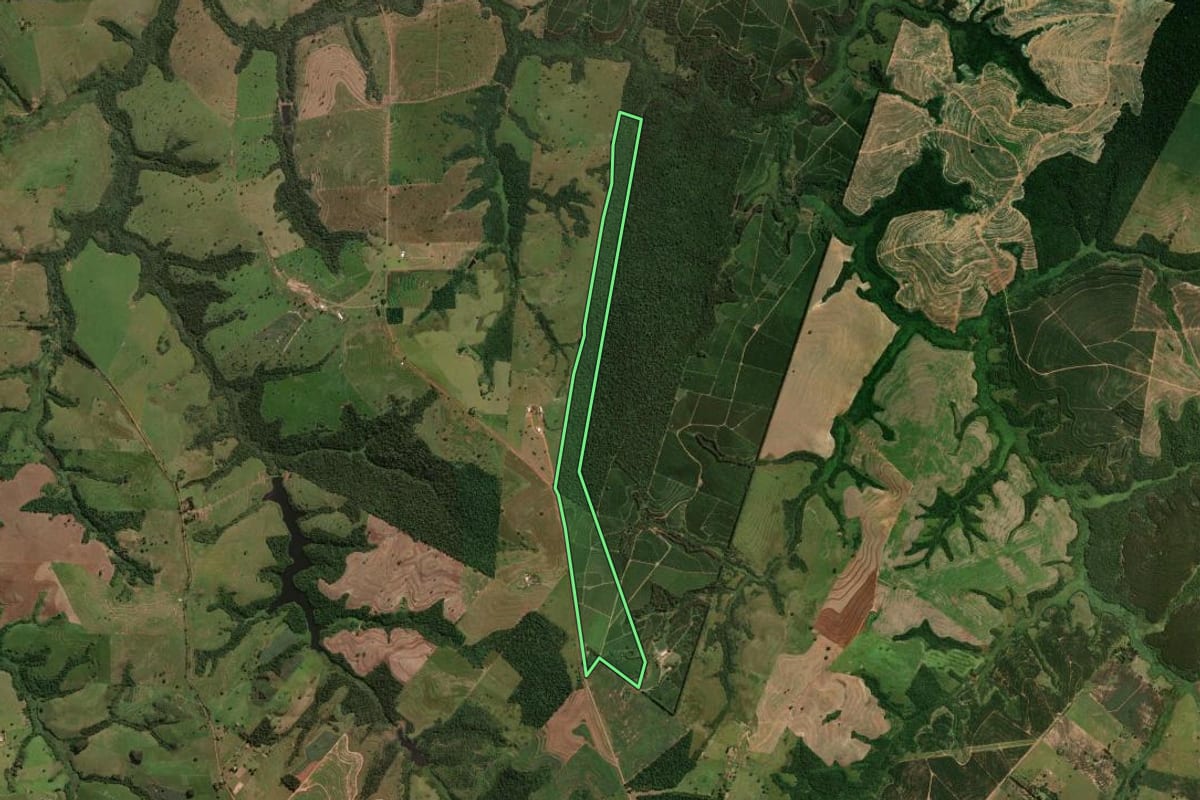 Imagem de satélite do imóvel rural em Cruzeiro do Oeste (PR), com o contorno declarado no CAR desenhado por cima.