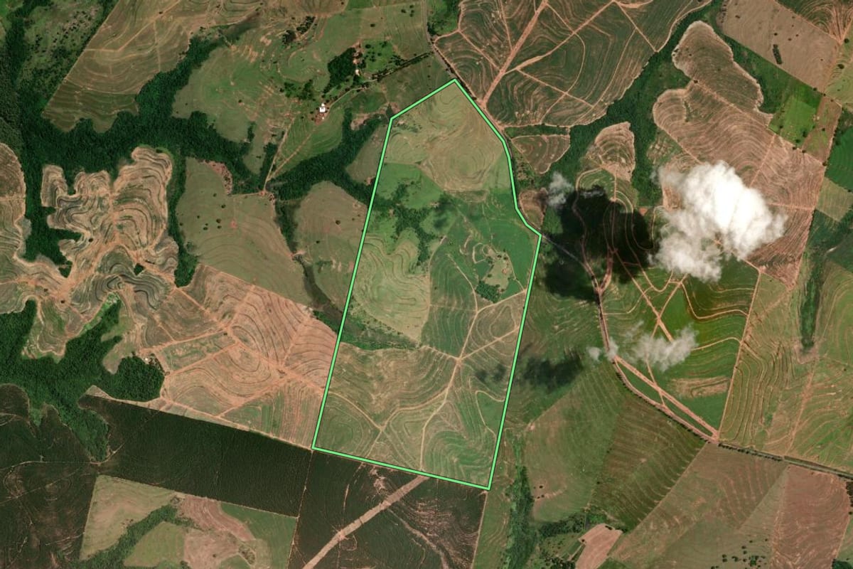 Imagem de satélite do imóvel rural em Cruzeiro do Oeste (PR), com o contorno declarado no CAR desenhado por cima.