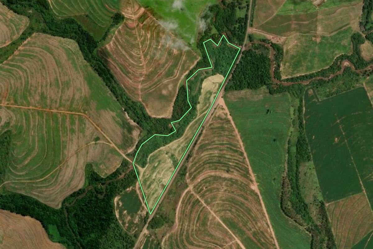 Imagem de satélite do imóvel rural em Cruzeiro do Oeste (PR), com o contorno declarado no CAR desenhado por cima.