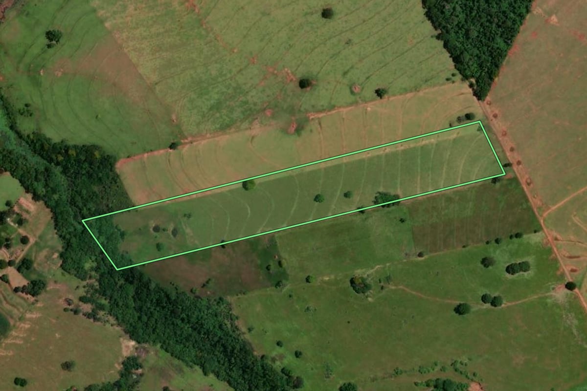 Imagem de satélite do imóvel rural em Cruzeiro do Oeste (PR), com o contorno declarado no CAR desenhado por cima.