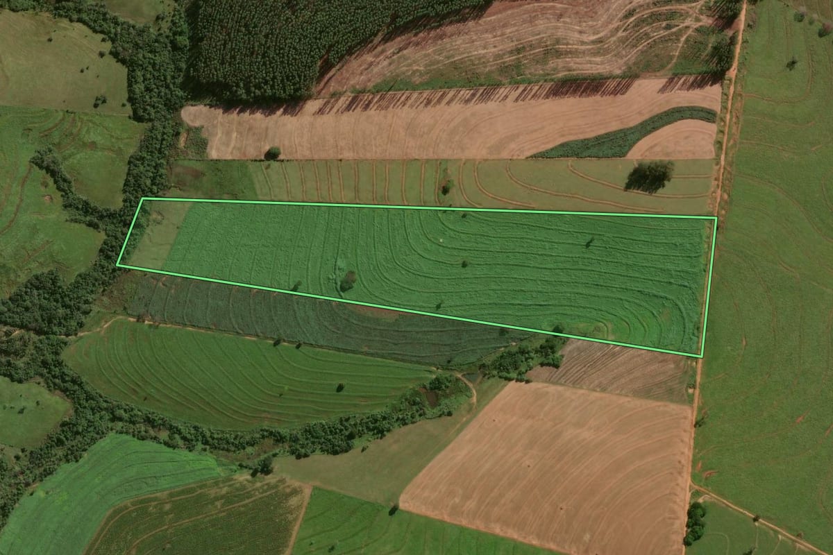Imagem de satélite do imóvel rural em Cruzeiro do Oeste (PR), com o contorno declarado no CAR desenhado por cima.