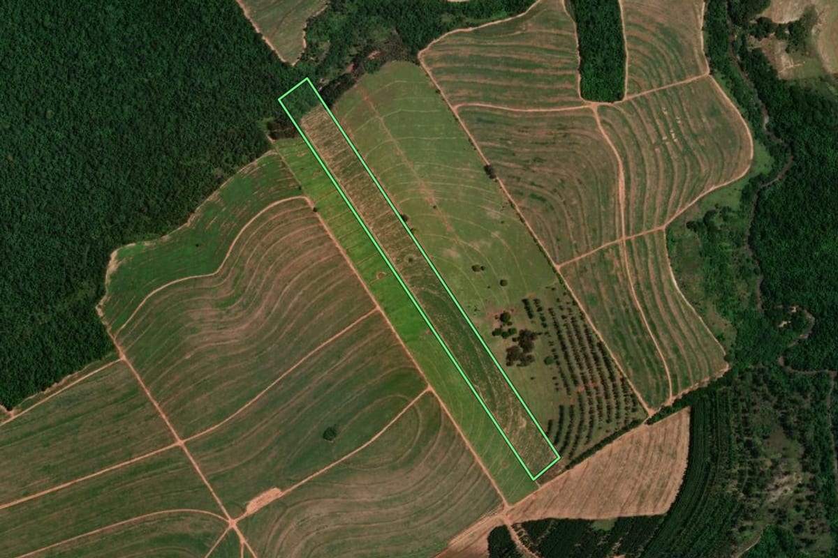 Imagem de satélite do imóvel rural em Cruzeiro do Oeste (PR), com o contorno declarado no CAR desenhado por cima.
