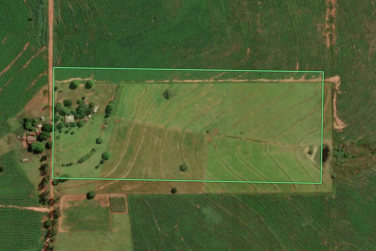 Imagem de satélite do imóvel rural em Cruzeiro do Oeste (PR), com o contorno declarado no CAR desenhado por cima.